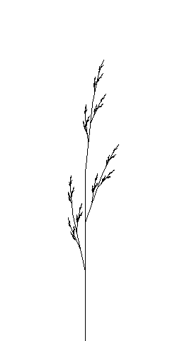 gras1.gif